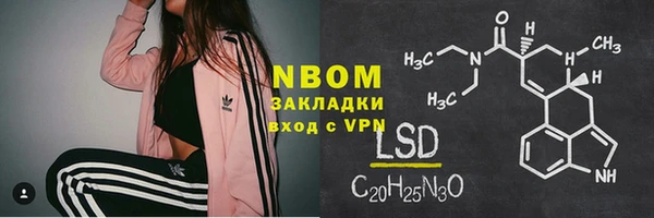 прущие грибы Алзамай