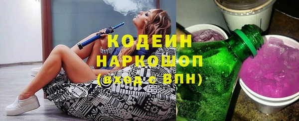 прущие грибы Алзамай