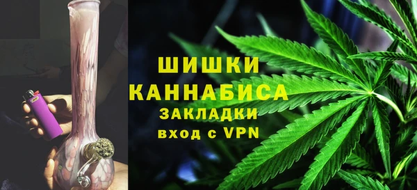 прущие грибы Алзамай