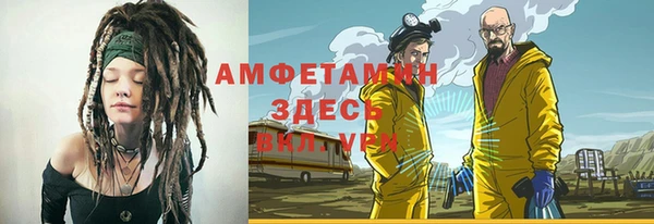 прущие грибы Алзамай